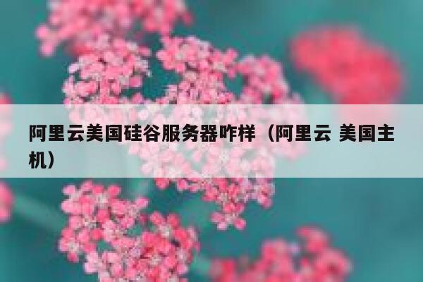 阿里云美国硅谷服务器咋样（阿里云 美国主机） 第1张