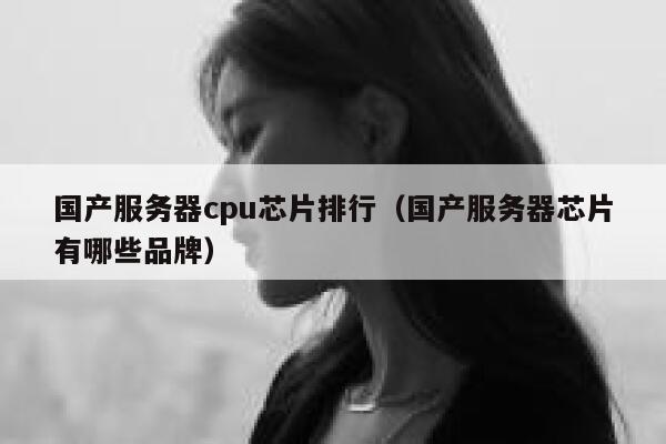 国产服务器cpu芯片排行（国产服务器芯片有哪些品牌） 第1张