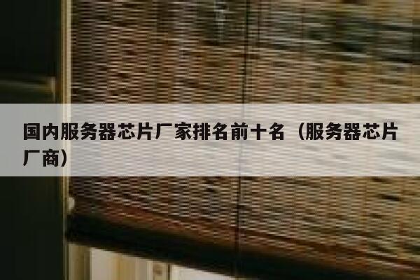 国内服务器芯片厂家排名前十名（服务器芯片厂商） 第1张