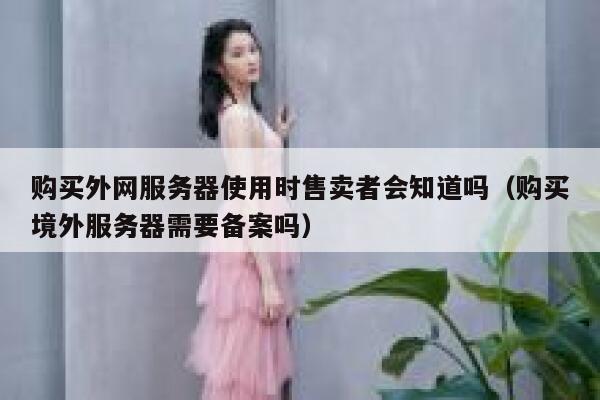 购买外网服务器使用时售卖者会知道吗（购买境外服务器需要备案吗） 第1张