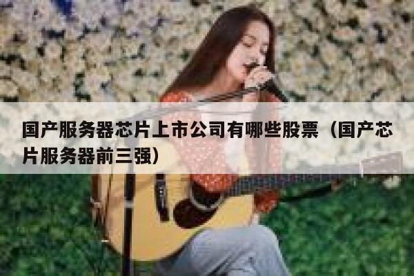 国产服务器芯片上市公司有哪些股票（国产芯片服务器前三强） 第1张