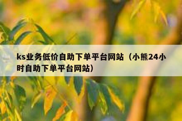 ks业务低价自助下单平台网站（小熊24小时自助下单平台网站） 第1张