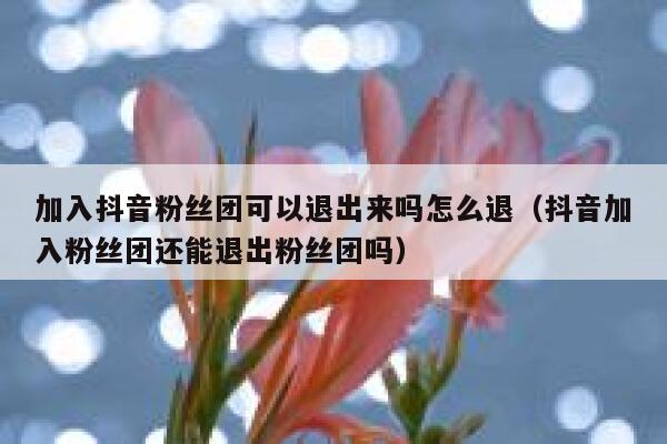 加入抖音粉丝团可以退出来吗怎么退（抖音加入粉丝团还能退出粉丝团吗） 第1张