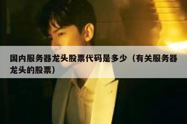 国内服务器龙头股票代码是多少（有关服务器龙头的股票） 第1张