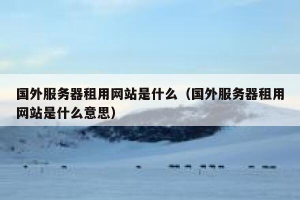 国外服务器租用网站是什么（国外服务器租用网站是什么意思） 第1张