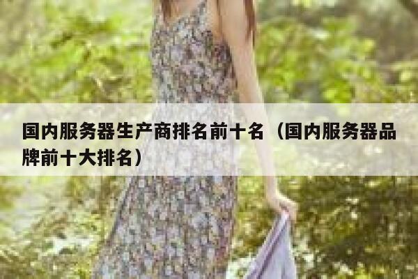 国内服务器生产商排名前十名（国内服务器品牌前十大排名） 第1张