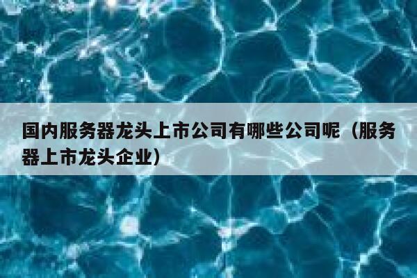 国内服务器龙头上市公司有哪些公司呢（服务器上市龙头企业） 第1张