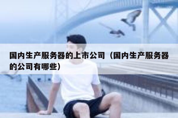 国内生产服务器的上市公司（国内生产服务器的公司有哪些） 第1张
