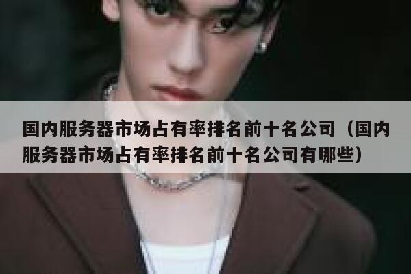 国内服务器市场占有率排名前十名公司（国内服务器市场占有率排名前十名公司有哪些） 第1张