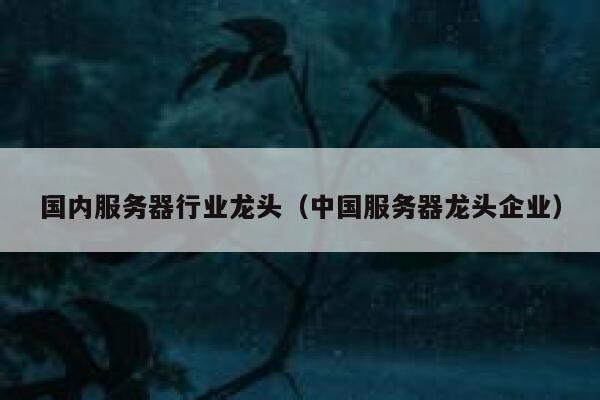 国内服务器行业龙头（中国服务器龙头企业） 第1张