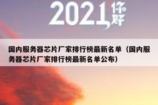 国内服务器芯片厂家排行榜最新名单（国内服务器芯片厂家排行榜最新名单公布） 第1张