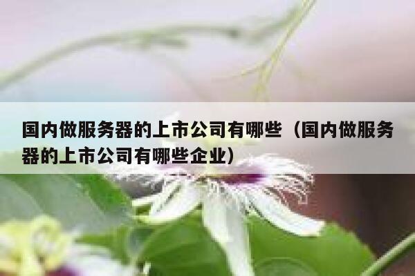 国内做服务器的上市公司有哪些（国内做服务器的上市公司有哪些企业） 第1张
