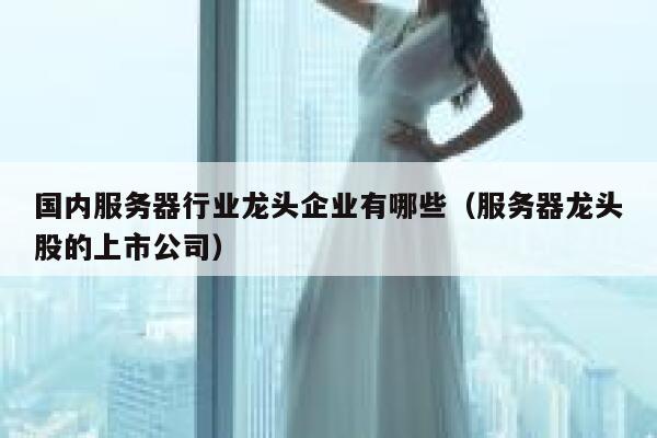 国内服务器行业龙头企业有哪些（服务器龙头股的上市公司） 第1张