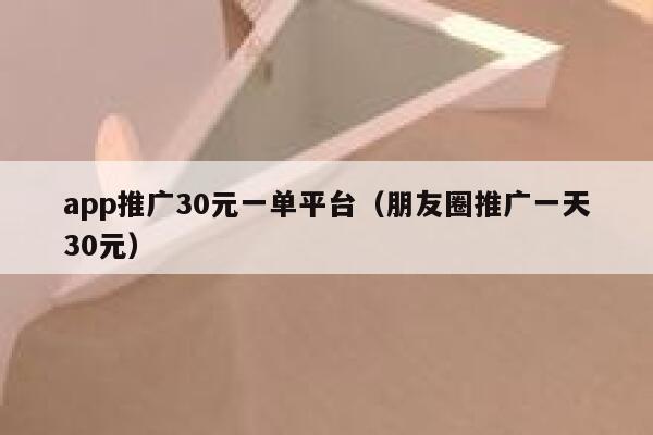 app推广30元一单平台（朋友圈推广一天30元） 第1张