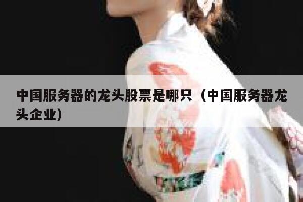 中国服务器的龙头股票是哪只（中国服务器龙头企业） 第1张