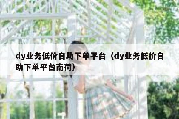dy业务低价自助下单平台（dy业务低价自助下单平台南荷） 第1张