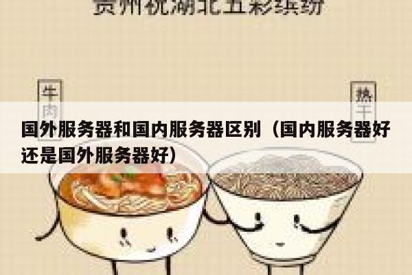 国外服务器和国内服务器区别（国内服务器好还是国外服务器好） 第1张