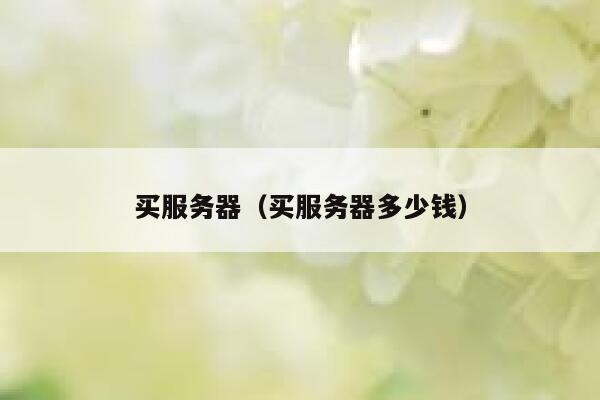 买服务器（买服务器多少钱） 第1张