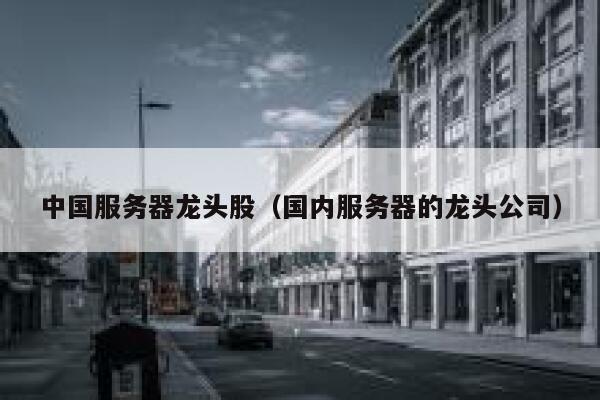 中国服务器龙头股（国内服务器的龙头公司） 第1张
