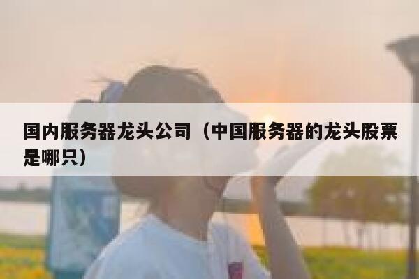 国内服务器龙头公司（中国服务器的龙头股票是哪只） 第1张