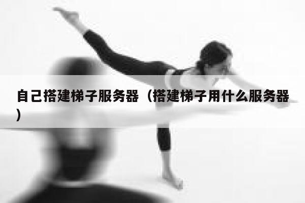 自己搭建梯子服务器（搭建梯子用什么服务器） 第1张