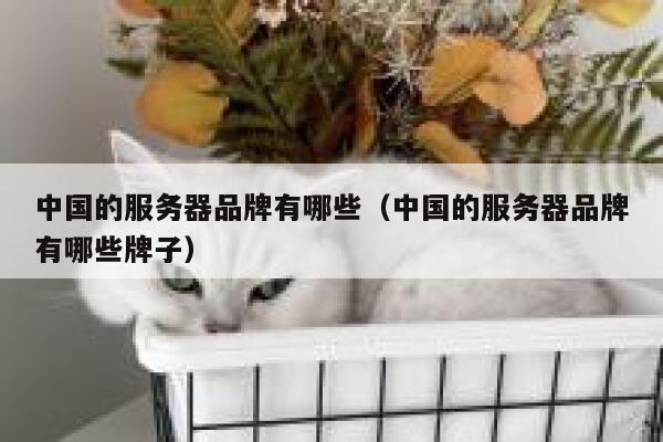 中国的服务器品牌有哪些（中国的服务器品牌有哪些牌子） 第1张