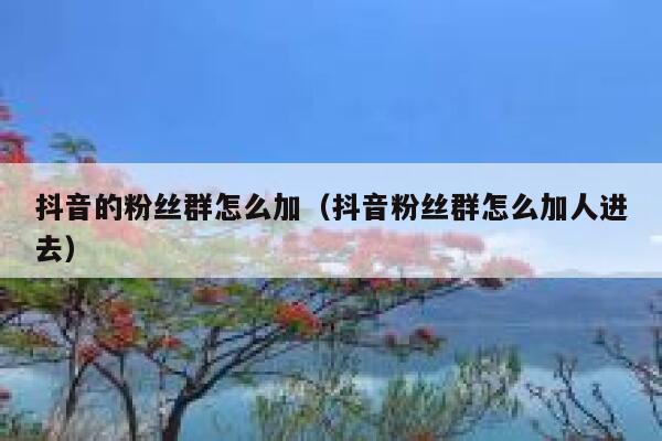 抖音的粉丝群怎么加（抖音粉丝群怎么加人进去） 第1张