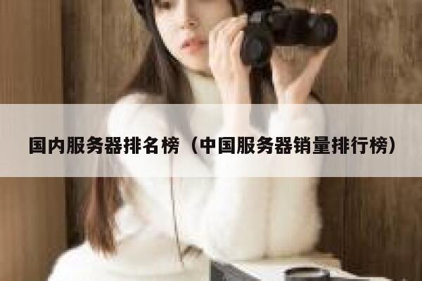 国内服务器排名榜（中国服务器销量排行榜） 第1张