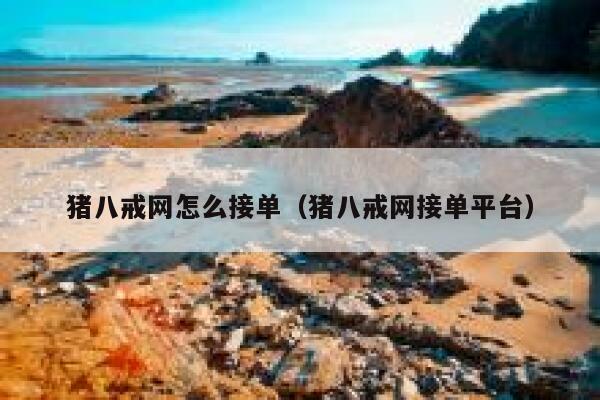 猪八戒网怎么接单（猪八戒网接单平台） 第1张