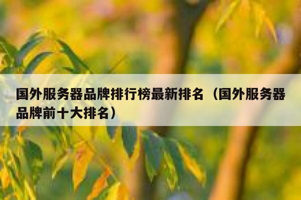 国外服务器品牌排行榜最新排名（国外服务器品牌前十大排名） 第1张