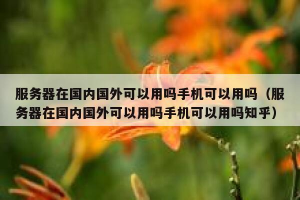 服务器在国内国外可以用吗手机可以用吗（服务器在国内国外可以用吗手机可以用吗知乎） 第1张