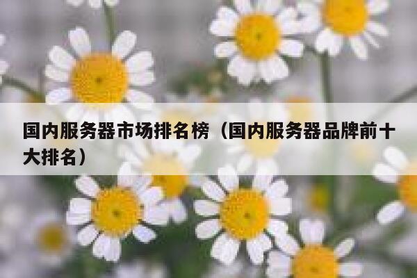 国内服务器市场排名榜（国内服务器品牌前十大排名） 第1张