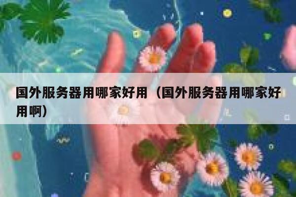 国外服务器用哪家好用（国外服务器用哪家好用啊） 第1张