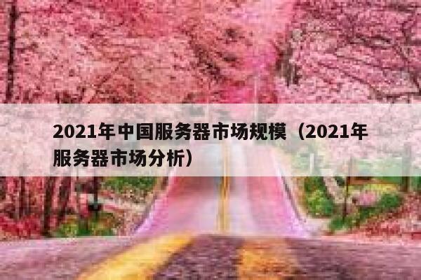 2021年中国服务器市场规模（2021年服务器市场分析） 第1张