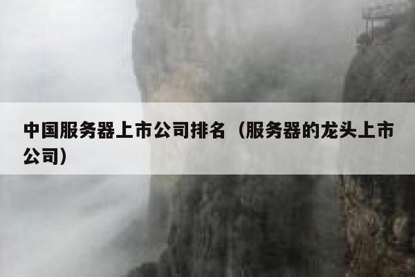 中国服务器上市公司排名（服务器的龙头上市公司） 第1张