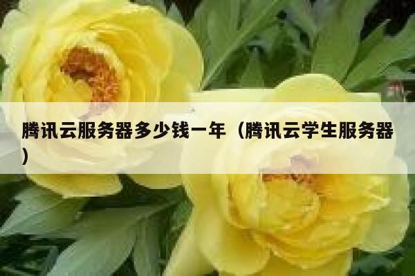 腾讯云服务器多少钱一年（腾讯云学生服务器） 第1张