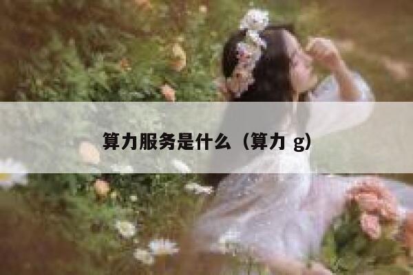 算力服务是什么（算力 g） 第1张
