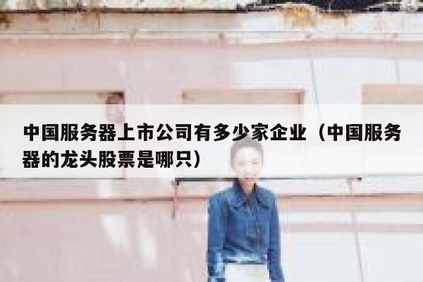 中国服务器上市公司有多少家企业（中国服务器的龙头股票是哪只） 第1张