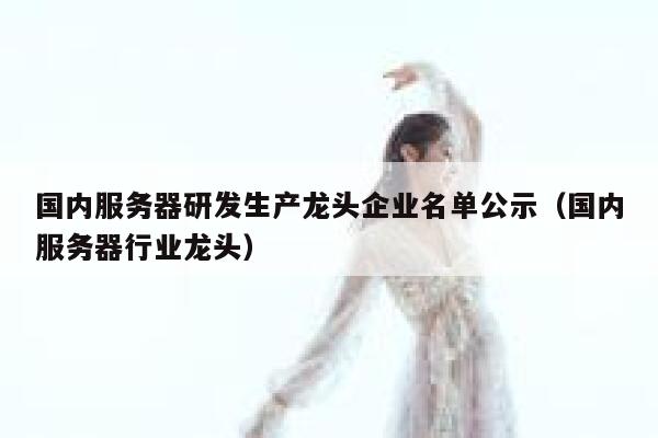 国内服务器研发生产龙头企业名单公示（国内服务器行业龙头） 第1张