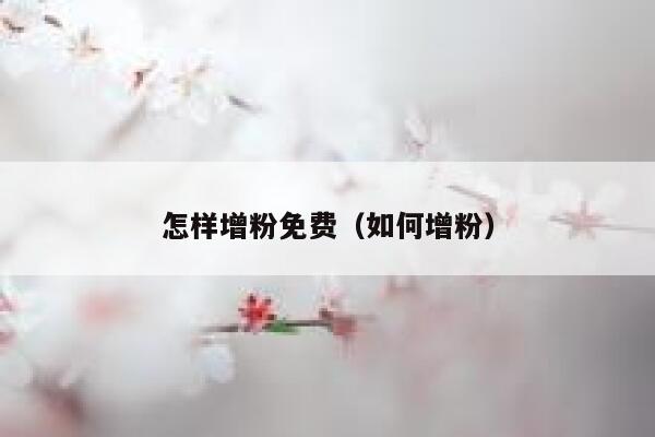 怎样增粉免费（如何增粉） 第1张