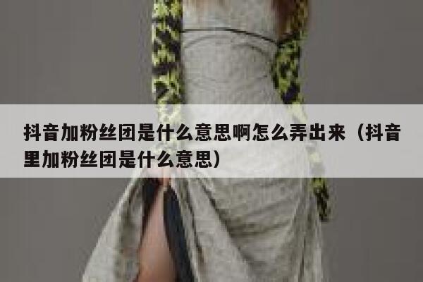 抖音加粉丝团是什么意思啊怎么弄出来（抖音里加粉丝团是什么意思） 第1张