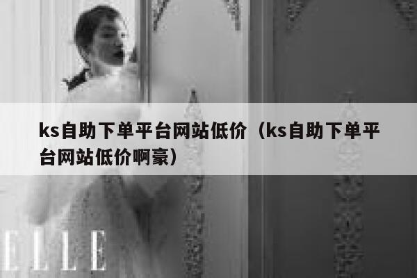 ks自助下单平台网站低价（ks自助下单平台网站低价啊豪） 第1张