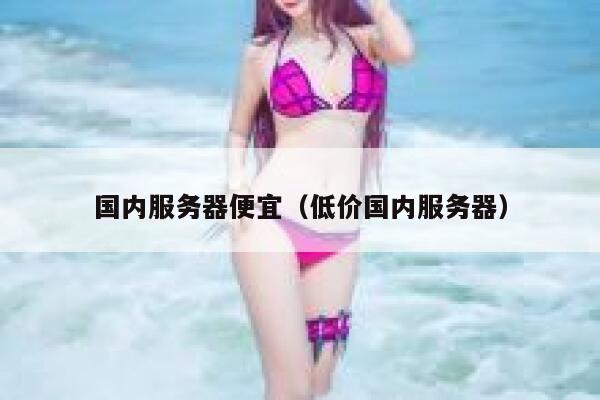 国内服务器便宜（低价国内服务器） 第1张