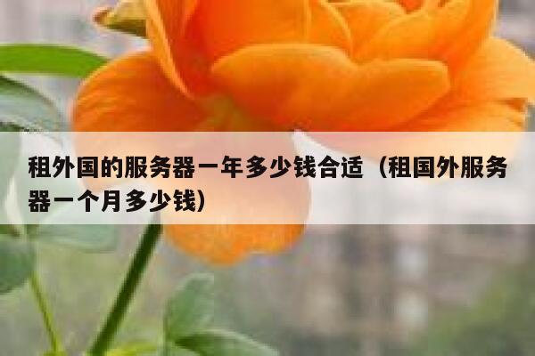 租外国的服务器一年多少钱合适（租国外服务器一个月多少钱） 第1张