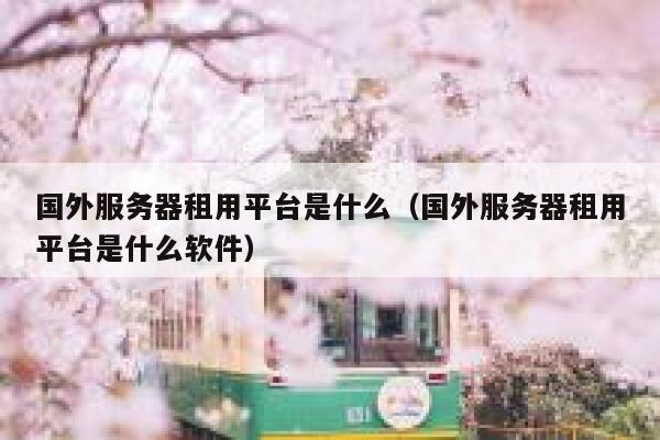 国外服务器租用平台是什么（国外服务器租用平台是什么软件） 第1张