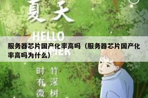 服务器芯片国产化率高吗（服务器芯片国产化率高吗为什么） 第1张
