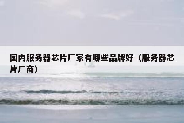 国内服务器芯片厂家有哪些品牌好（服务器芯片厂商） 第1张