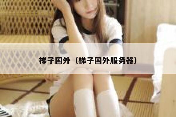 梯子国外（梯子国外服务器） 第1张
