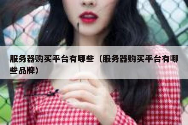 服务器购买平台有哪些（服务器购买平台有哪些品牌） 第1张
