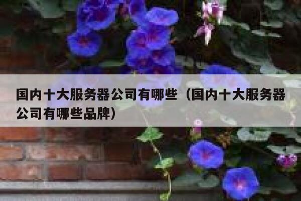 国内十大服务器公司有哪些（国内十大服务器公司有哪些品牌） 第1张